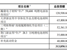 深圳新宙邦拟募资20亿用于锂电添加剂、电解液、高端氟精细化学品项目