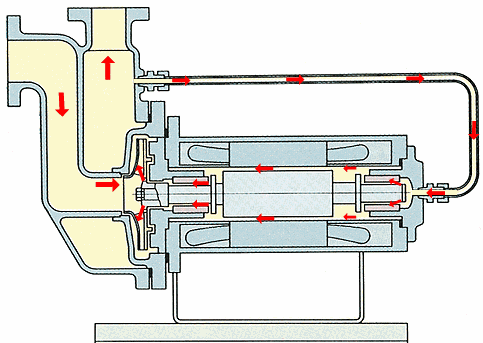 屏蔽泵内部结构图片
