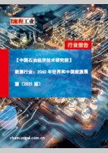 【中国石油经济技术研究院】能源行业：2060年世界和中国能源展望