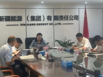 新疆能源集团哈密三塘湖40亿Nm3/年煤制天然气项目预可研报告专家评审会在京召开