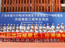 广西华谊75万吨/年丙烯项目丙烷脱氢工程中交