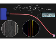 研究发现 甲基纤维素可制成可持续性光纤