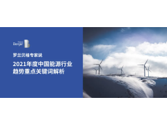 2021年度中国能源行业趋势重点关键词解析！