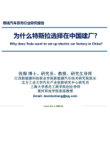 张翔：为什么特斯拉选择在中国建厂？