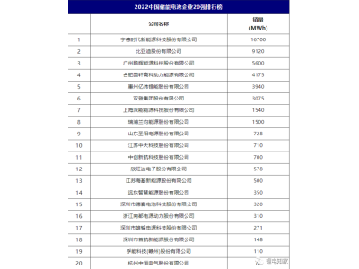 2022中国储能电池企业TOP20