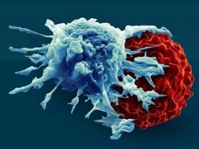 FDA 发布 CAR-T 细胞治疗的研发考量指南草案
