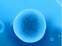 传奇生物BCMA CAR-T细胞疗法获欧盟附条件上市许可
