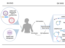 CAR-T细胞疗法开发的新突破-非病毒载体的应用