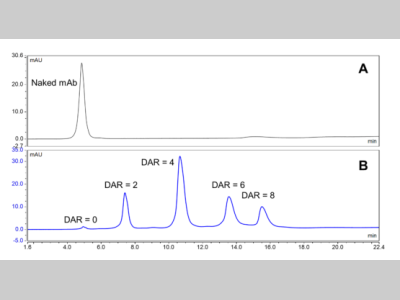 ADC药物抗体比(DAR)的表征分析方法