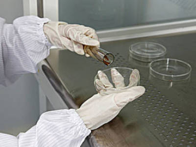 PIC/S GMP无菌药品附录对我国无菌药品检查的影响