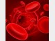 自动化血液细胞分析仪工作原理简介