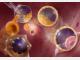 日本研究人员探明胚胎干细胞中转位子被抑制机理