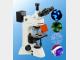 荧光显微镜原理及应用