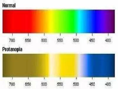 薄层色谱法在各个学科中的应用