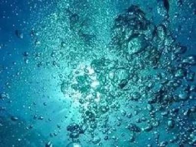水即生命——谈细胞培养中的超纯水