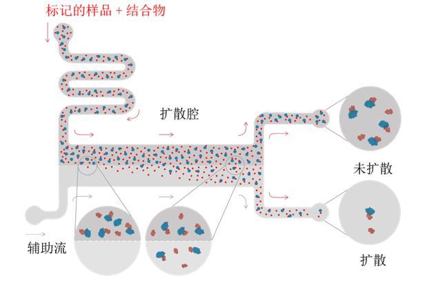 微流控擴散技術-膜蛋白研究新方法