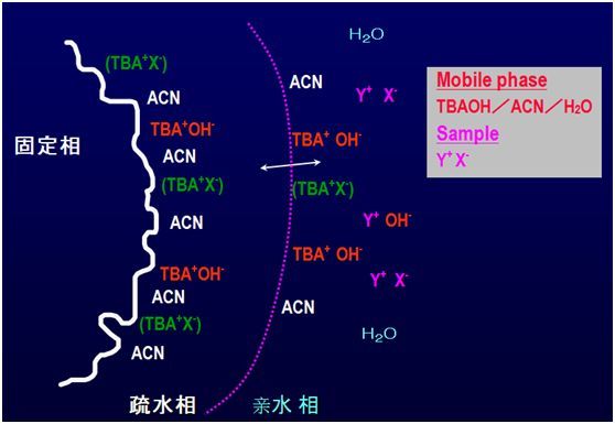 必學離子色譜入門課程分離原理