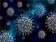 新型冠状病毒肺炎病例标本采集与实验室检测技术指南