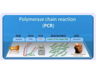 实时荧光定量 PCR 的原理及应用！