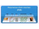 实时荧光定量 PCR 的原理及应用！