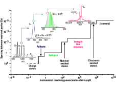 高分辨率质谱技术在高质荷比离子分析方面的进展