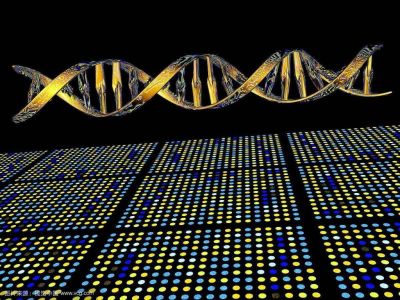 基因芯片技术及其研究现状和应用前景